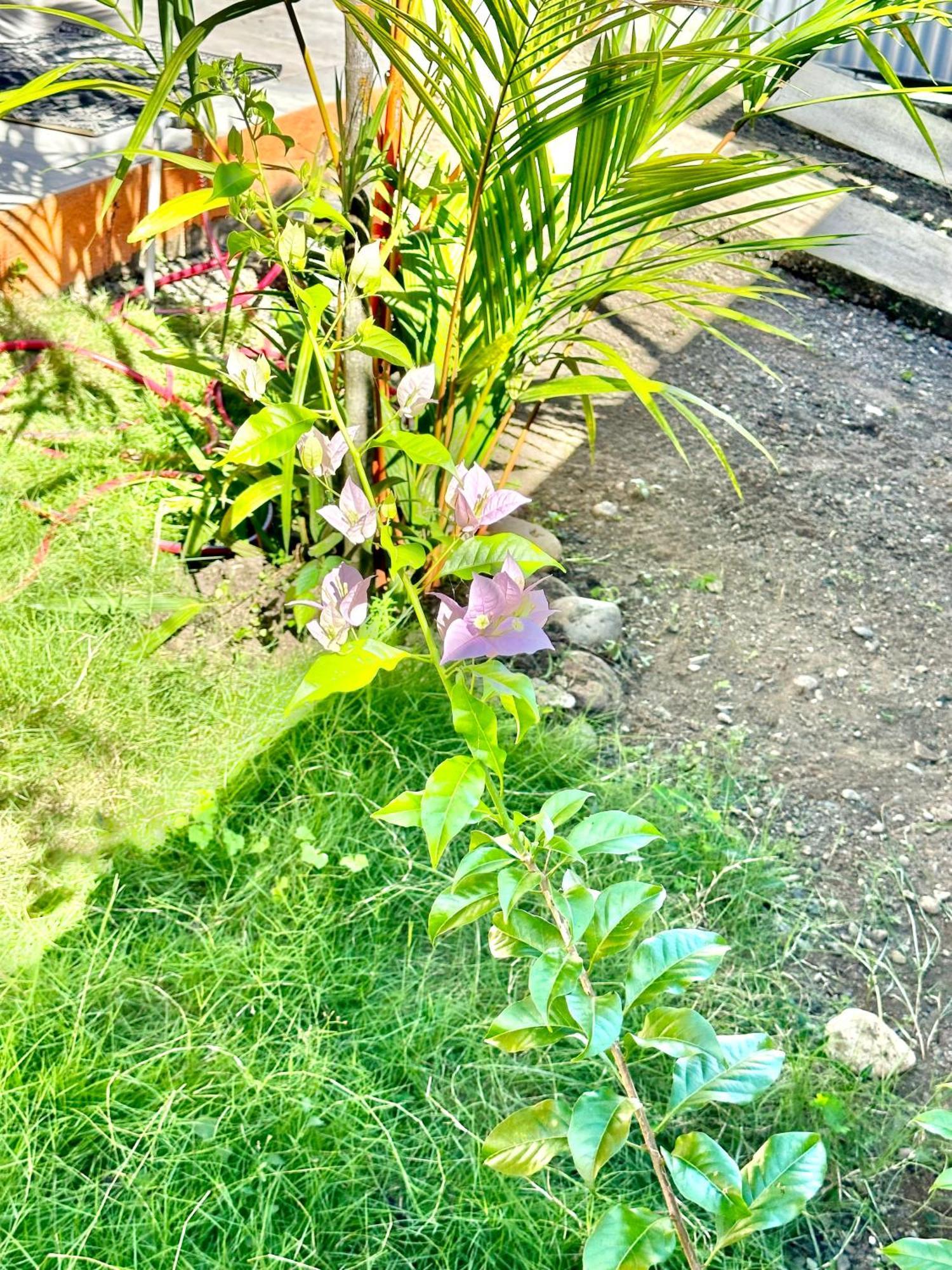 Casa Paraiso Tropical 파리타 외부 사진