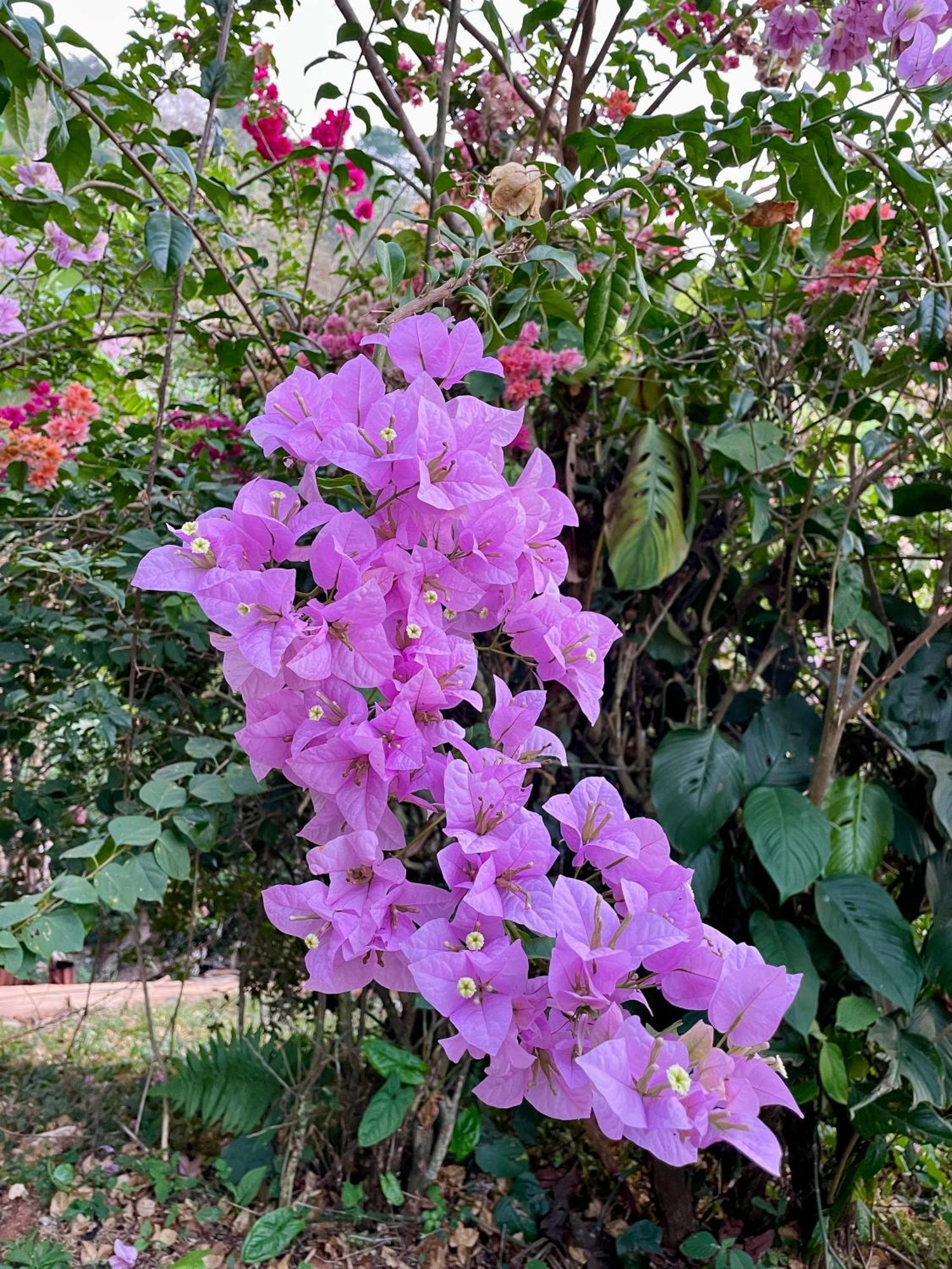 Casa Paraiso Tropical 파리타 외부 사진